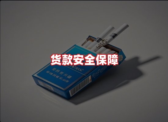 专业团队